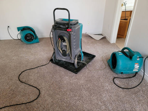 Best Water damage restoration near me  in Clute, TX