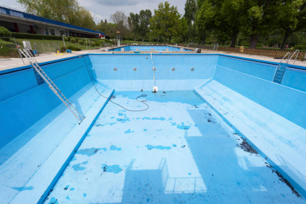 Best Water damage restoration mold remediation  in Clute, TX