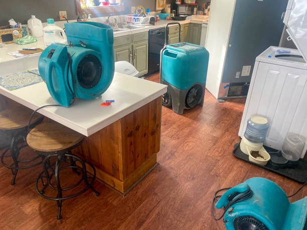 Best 24-hour water damage restoration  in Clute, TX