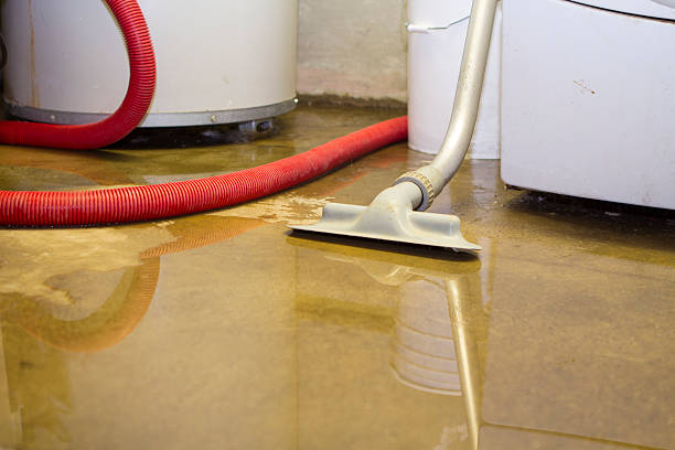 Best Flood damage cleanup  in Clute, TX