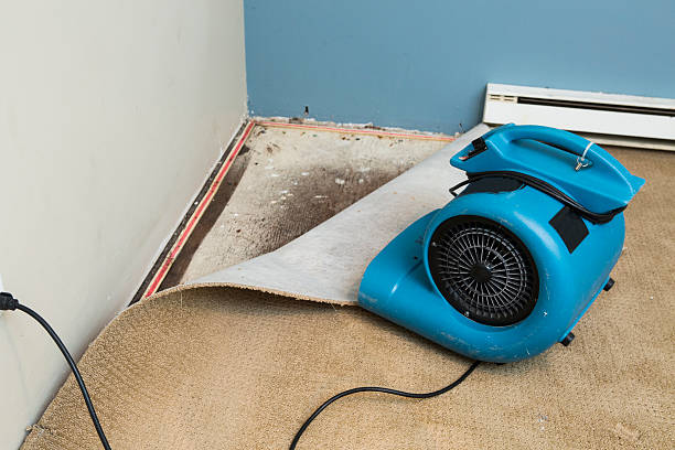 Best Emergency water damage restoration  in Clute, TX